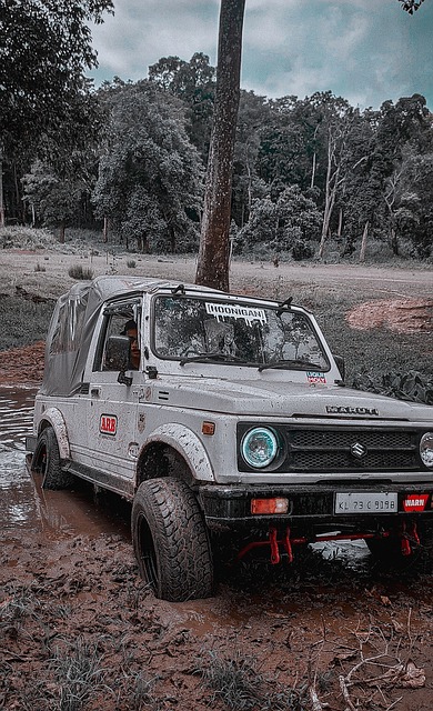 哈蘭德為例 哈蘭德為例