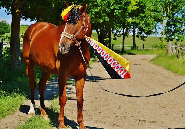 桑普多利亞 桑普多利亞