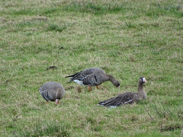 项目并不单 项目并不单